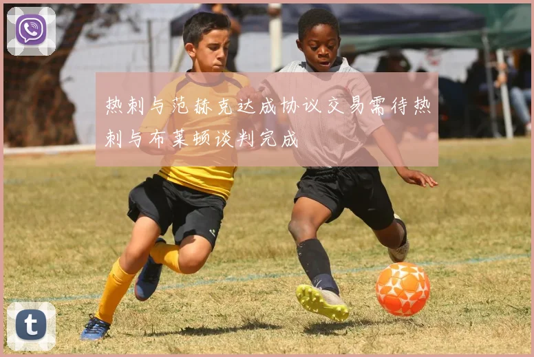 热刺与范赫克达成协议交易需待热刺与布莱顿谈判完成