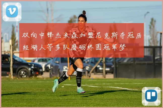 双向中锋杰米森加盟尼克斯夺冠历经湖人等多队磨砺终圆冠军梦